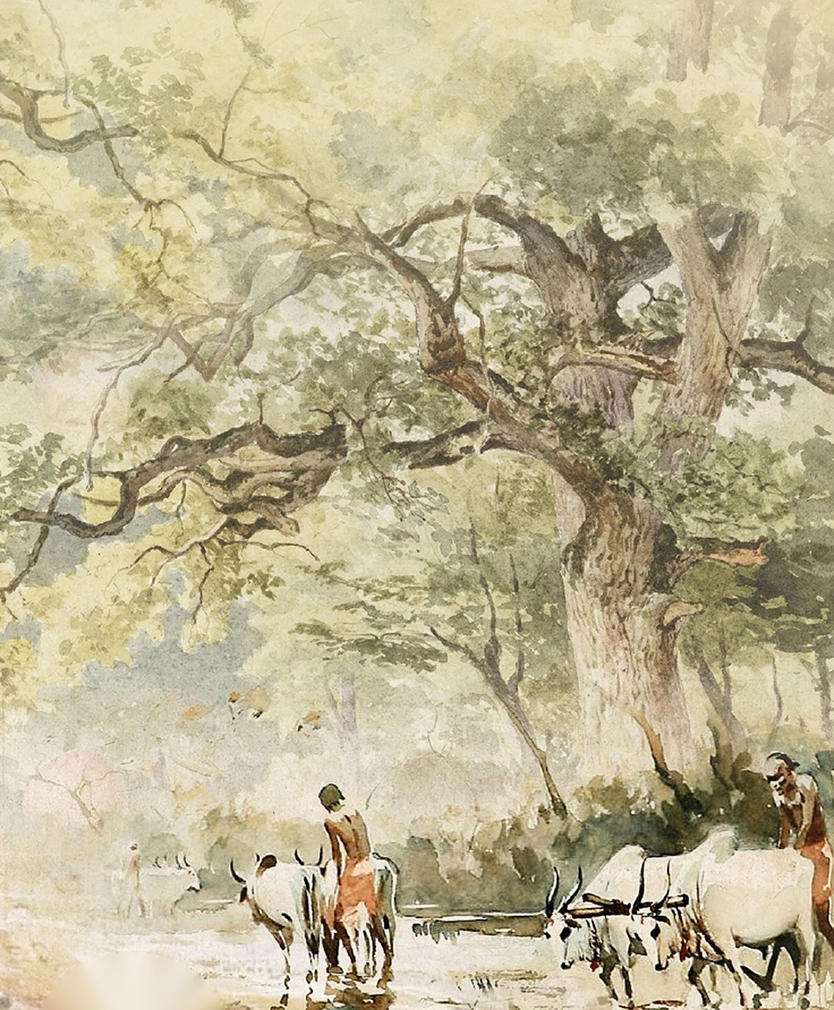 Watercolour painting of oxen at a shaded village stream